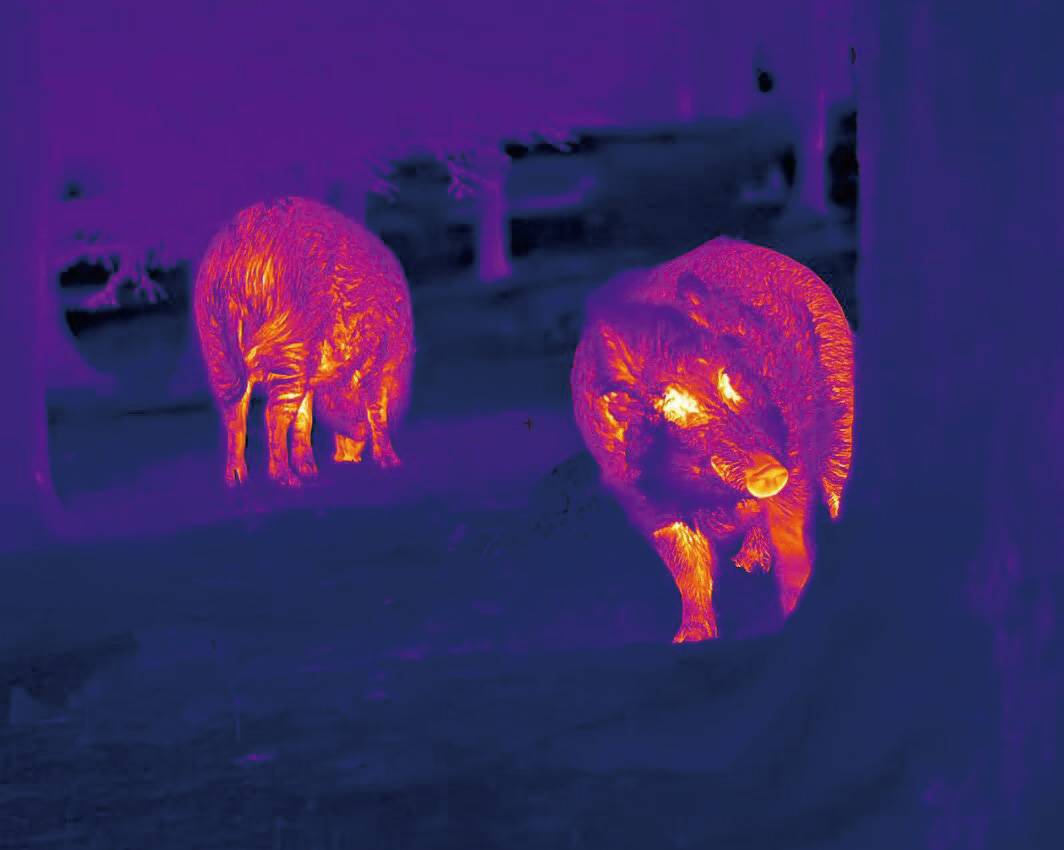 3. 101422. Thermal camera Nocpix VISTA H35R с LRF - 35mm