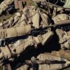 Eberlestock Impact Scope Cover