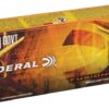 Federal Fusion .45-70 Gov 300gr — cartridge detail
