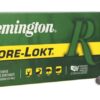 Remington Core-Lokt .45-70 Gov 405gr — combo