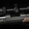 Nocpix NITE D70R digital day and night vision riflescope