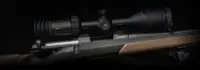 Nocpix NITE D70R digital day and night vision riflescope
